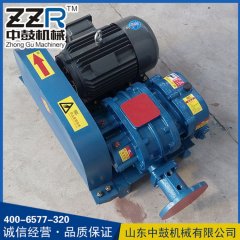 ZZR-50V/60V型真空泵