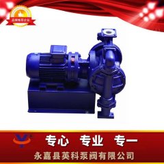 DBY-50衬氟电动隔膜泵的图片