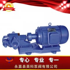 KCB(2CY)齿轮式输油泵的图片