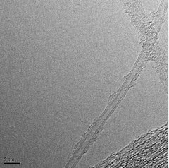 双壁碳纳米管NTP9112的图片