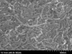 多壁碳纳米管S-MWNT-2040的图片