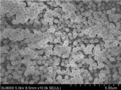 纳米球形氧化硅的图片