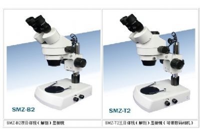 体视（解剖）显微镜的图片