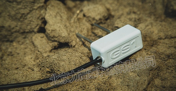 GS1土壤水分传感器的图片