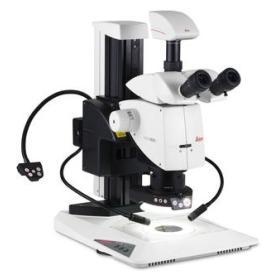 德国徕卡体视显微镜M205 C的图片