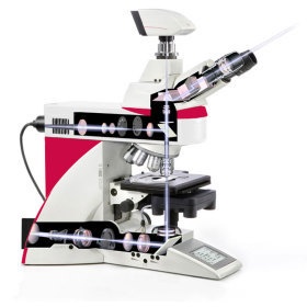 徕卡生命科学正置显微镜Leica DM6 B的图片