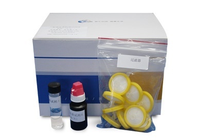 二氢吡啶类快速检测试剂盒的图片