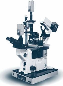 近场光学显微镜的图片