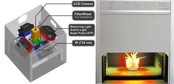 FluorCam台式植物多光谱荧光成像系统的图片