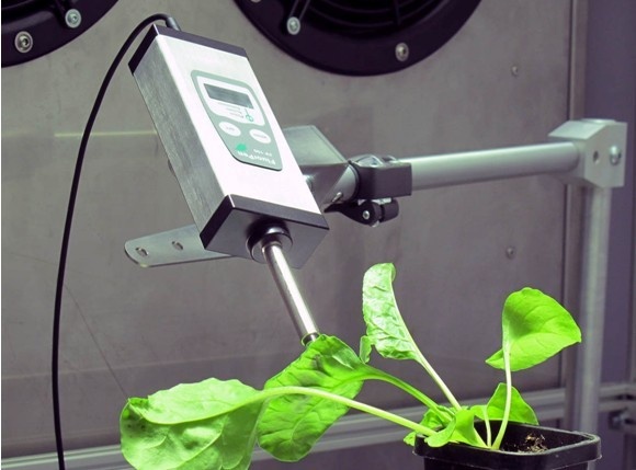 FP100叶绿素荧光自动监测仪的图片