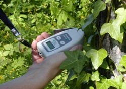PlantPen叶夹式PRI测量仪的图片