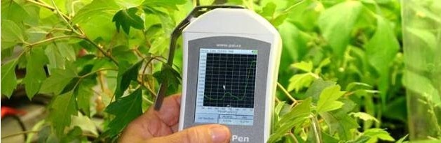 PolyPen RP-400手持式植物光谱测量仪的图片
