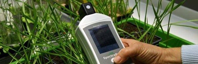 SpectraPen LM500手持式光谱仪的图片