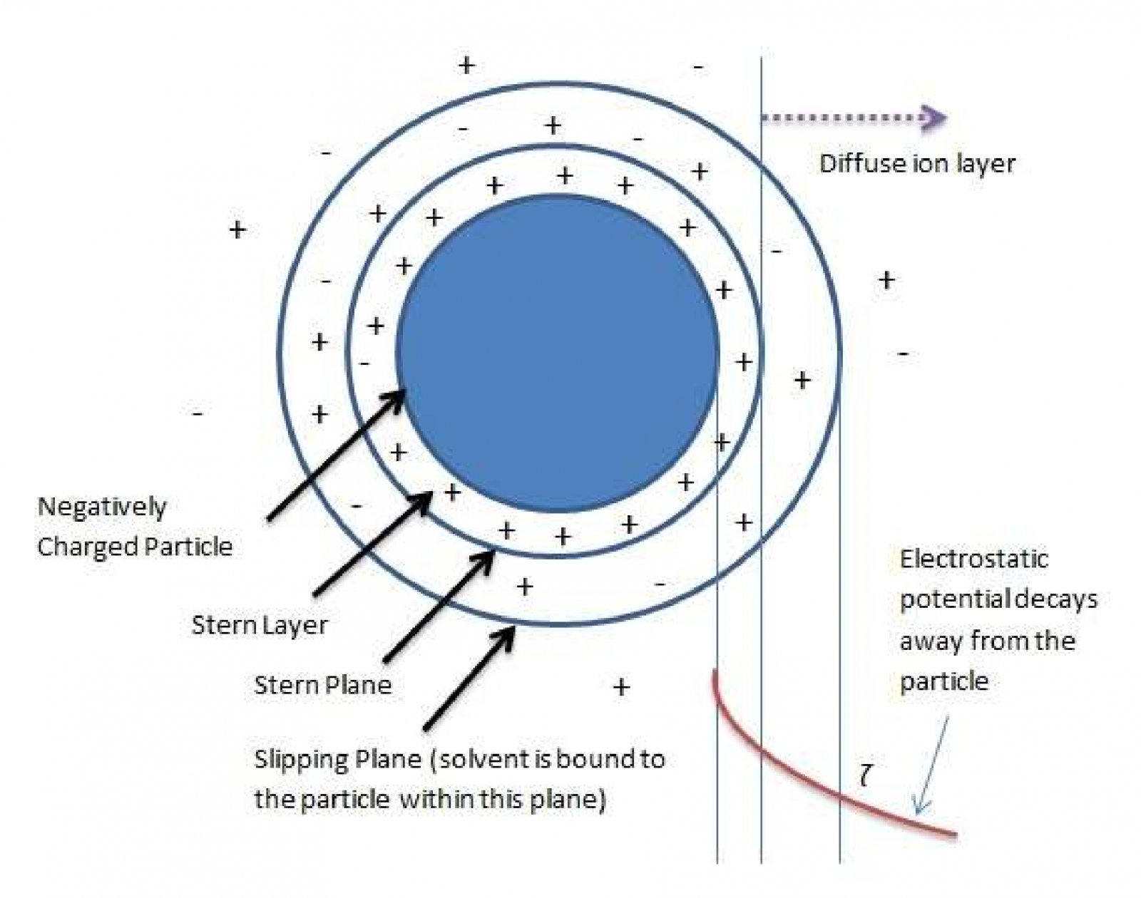 figure 1. a negatively charged particle suspended in   liquid.