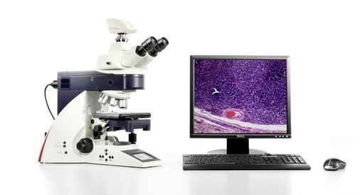 徕卡DM4000生物显微镜的图片