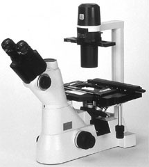 尼康TS100倒置生物显微镜的图片