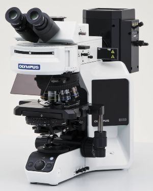 奥林巴斯BX53荧光显微镜的图片