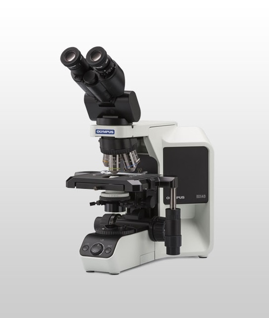 奥林巴斯BX43显微镜的图片