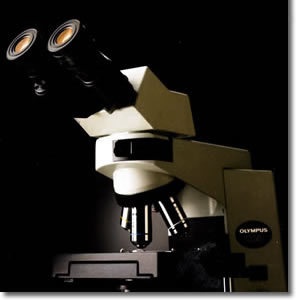 奥林巴斯CX41生物显微镜的图片