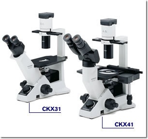 奥林巴斯CKX31倒置显微镜的图片