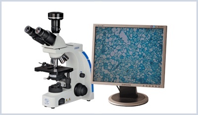 生物显微镜的图片