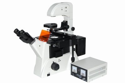 XD200-FL倒置荧光生物显微镜的图片