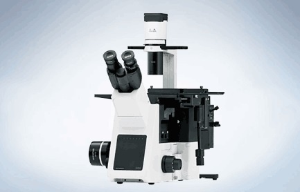 奥林巴斯IX53倒置显微镜的图片