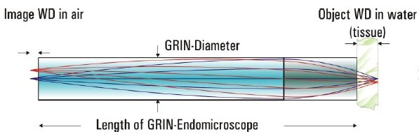 透镜GRIN针内窥显微镜的图片