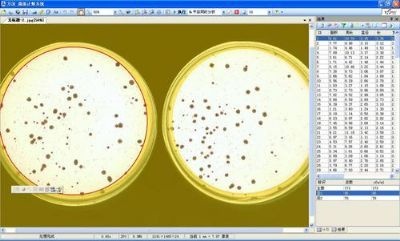 万深HICC-A型全自动菌落计数仪的图片