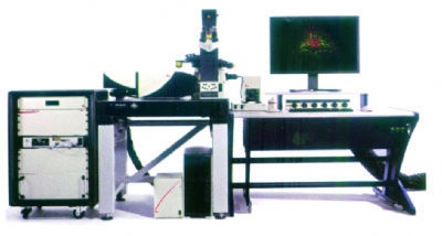 TCS SP8激光共聚焦显微镜的图片