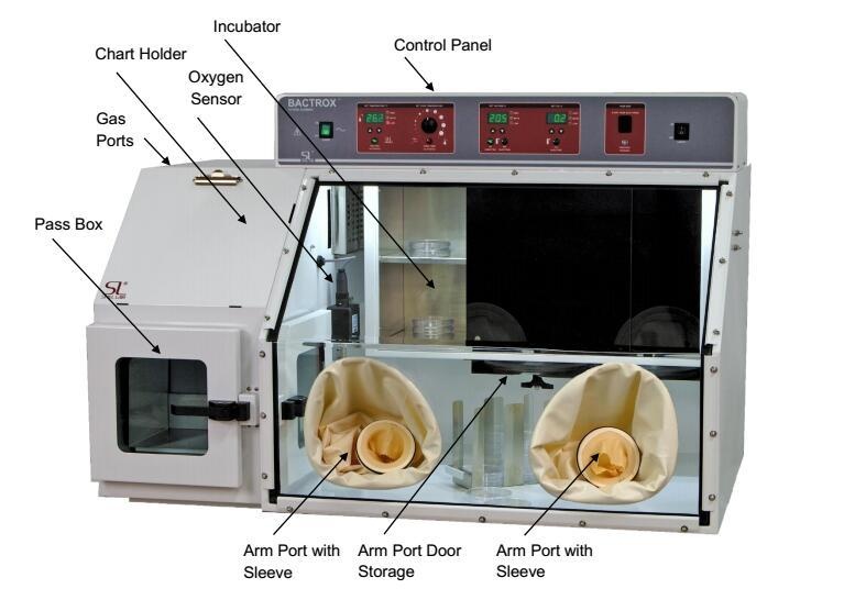 微氧培养箱的图片
