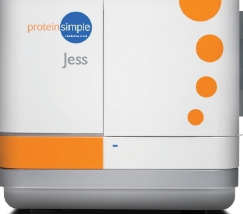 Jess多功能全自动蛋白免疫印迹定量分析系统的图片