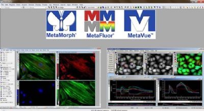 显微图像分析软件Molecular Devices的图片