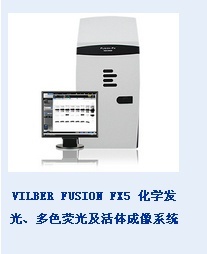 VILBER INFINITY 3026凝胶成像系统