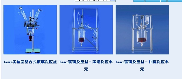Lenz实验室型台式玻璃反应釜的图片