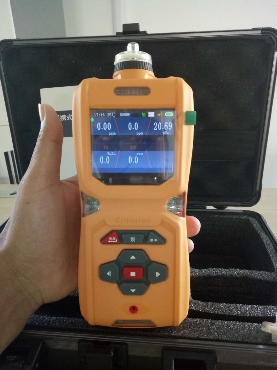 HCX600-6复合式气体检测仪的图片
