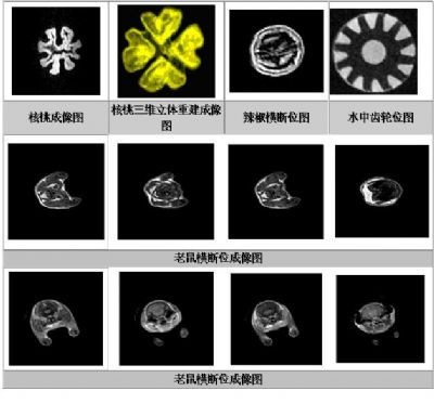 25mm三维核磁共振成像技术实验仪的图片