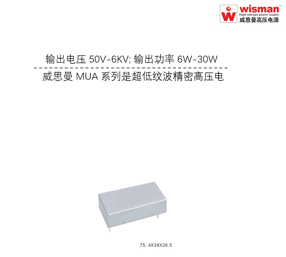 威思曼质谱脉冲源高压电源模块MUA 6kv/30w