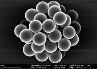 荧光微球PolyAn的图片