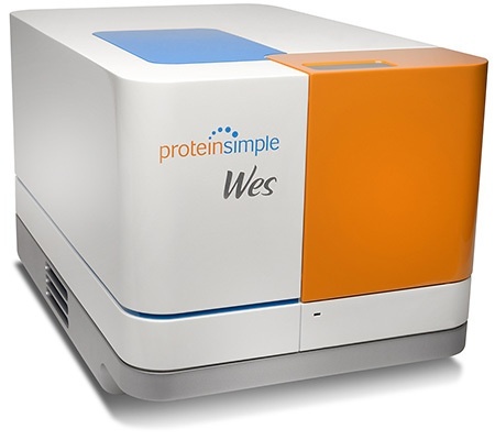 Wes全自动蛋白质印迹定量分析系统的图片