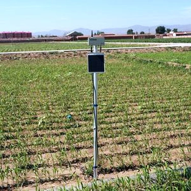 无线自动土壤水分监测系统A755 SM的图片