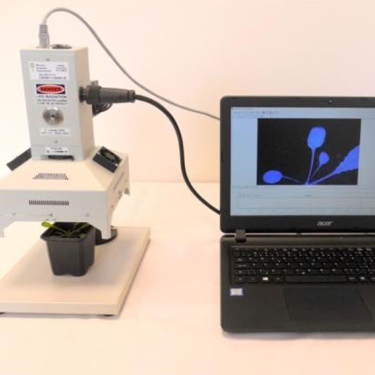 FluorCam便携式叶绿素荧光成像仪的图片