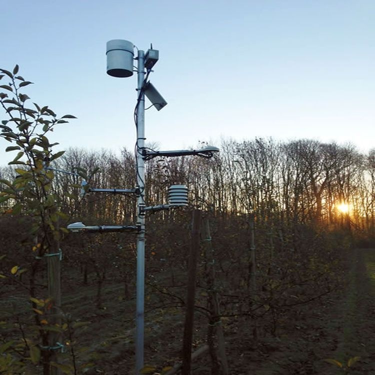BFWS-100森林气象站的图片