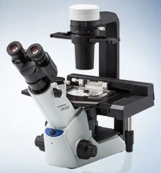 奥林巴斯olympus CKX53倒置显微镜的图片