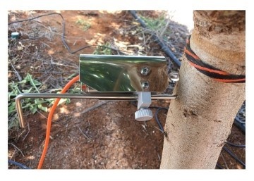 DE-1T树木生长变化传感器的图片