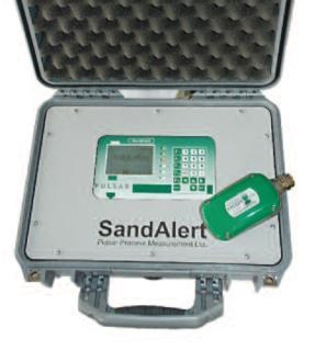 固定&便携式砂含量监测仪