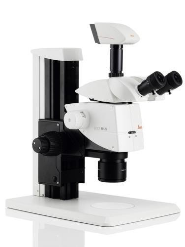 徕卡Leica M125立体显微镜的图片