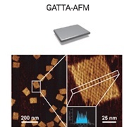 AFM原子力显微镜纳米标尺的图片
