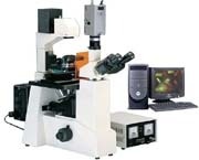 DFM-60C倒置荧光显微镜的图片