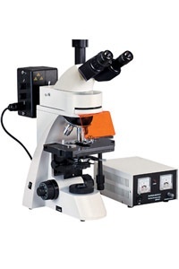 DFM-55C电脑型正置荧光显微镜的图片
